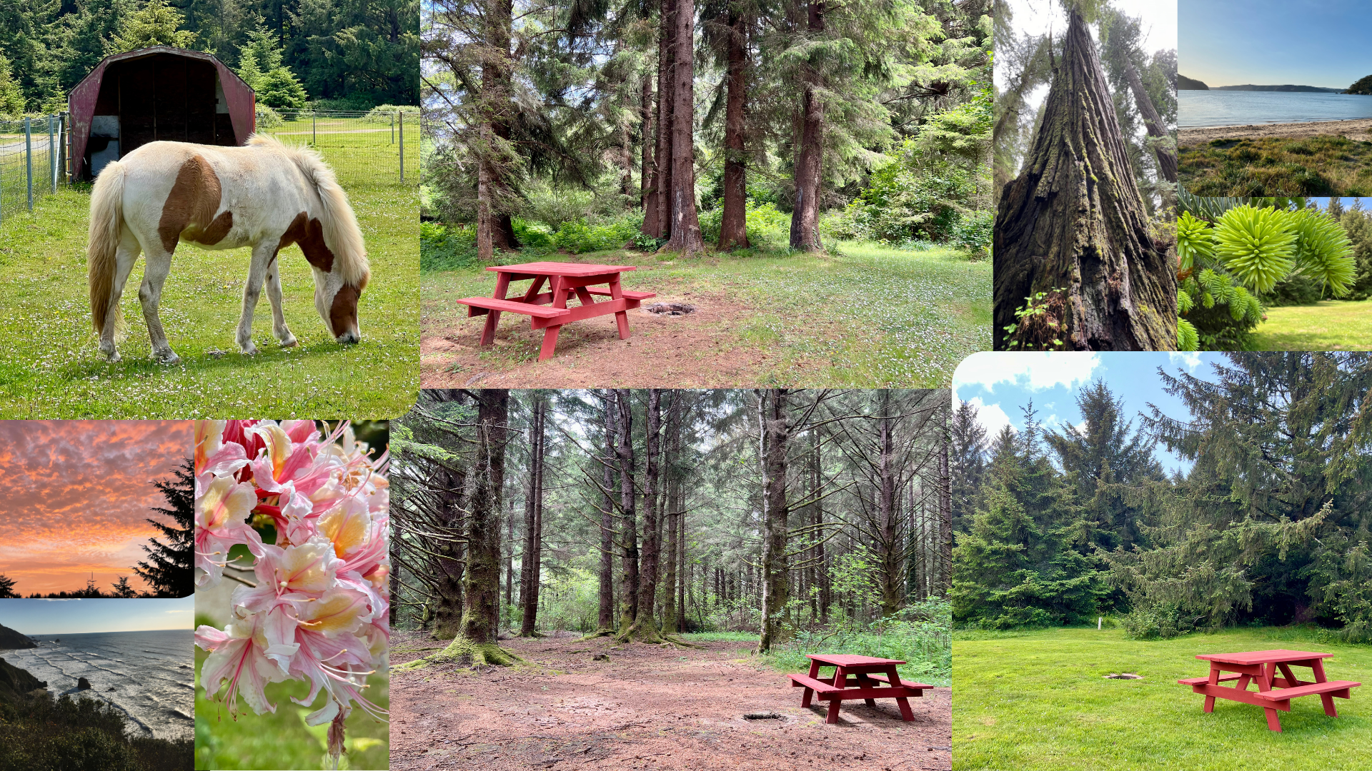 Orman Ranch Image collage